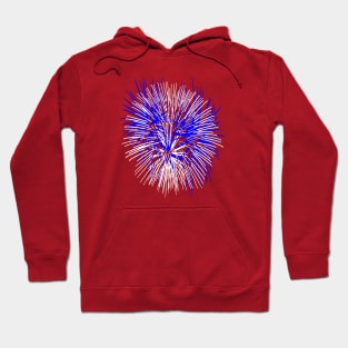 Light Up The Night Sky Colorful Fireworks Celebrations 8 Hoodie
